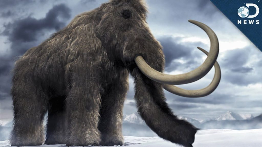 Scientists extract the oldest RNA ever, from 40,000-year-old woolly mammoth; Life in the Ice Age revealed
