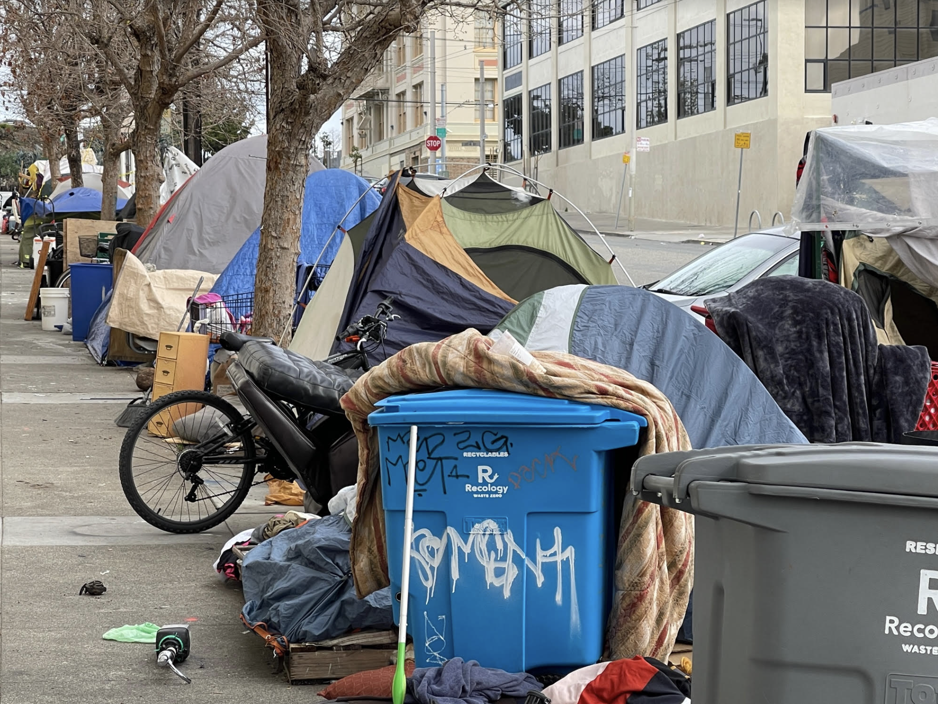 A row of tents and makeshift shelters along a city sidewalk, with bicycles and trash bins visible, highlighting urban homelessness and community challenges.