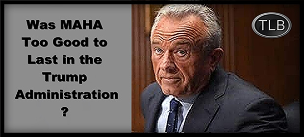 MAHA Trump Block ET feat 8 15 25