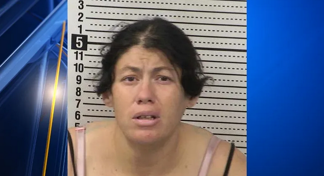 Woman Gives Birth, Throws Her Baby in a Porta Potty
