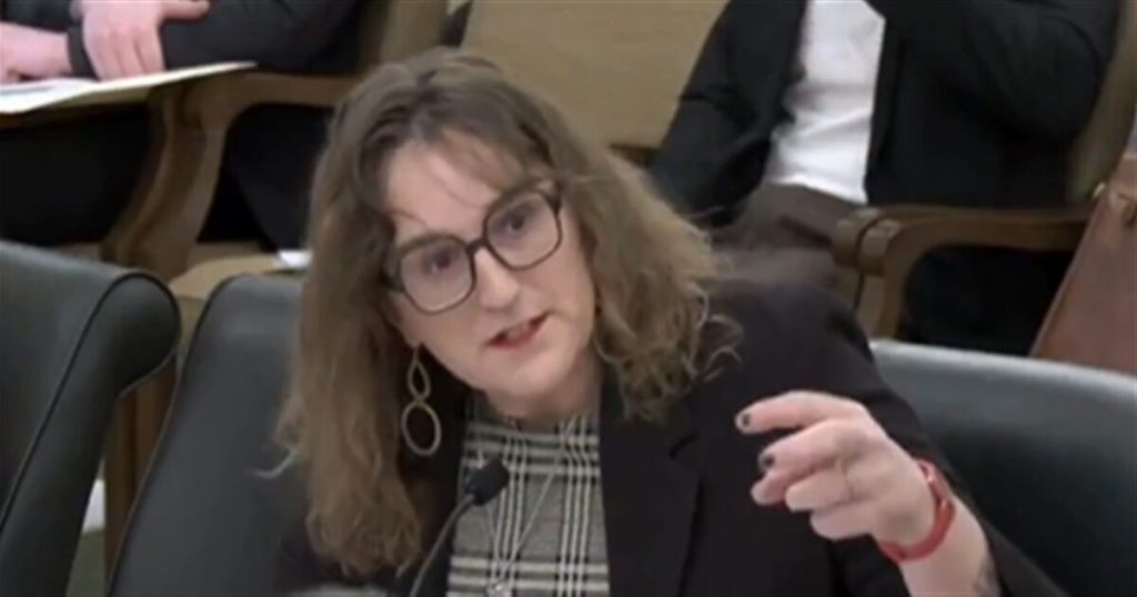 Trans Minnesota Dem lawmaker argues ‘queer’ kids need porn access for ‘educational’ purposes