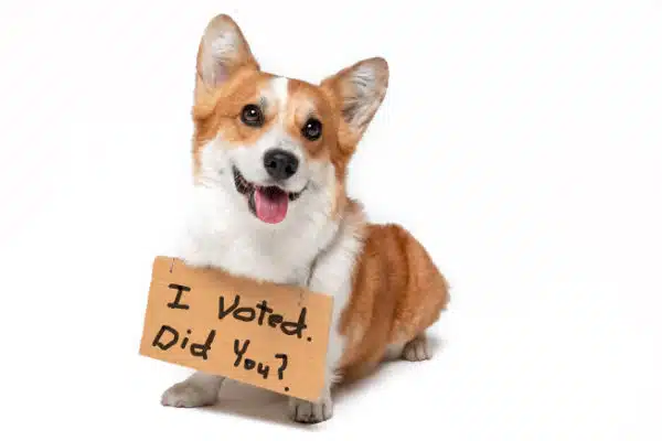 Californians, Don’t Forget to Let Your Dogs & Dead Relatives Vote