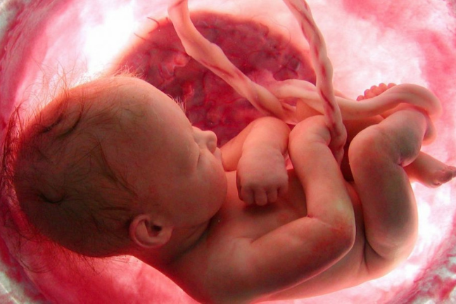 Studies Show Unborn Babies Demonstrate Consciousness During Pregnancy