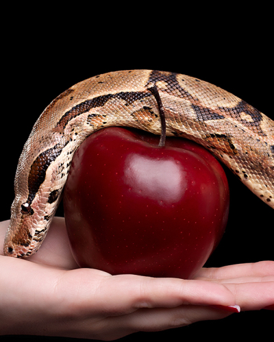 How do I know if something is a sin?