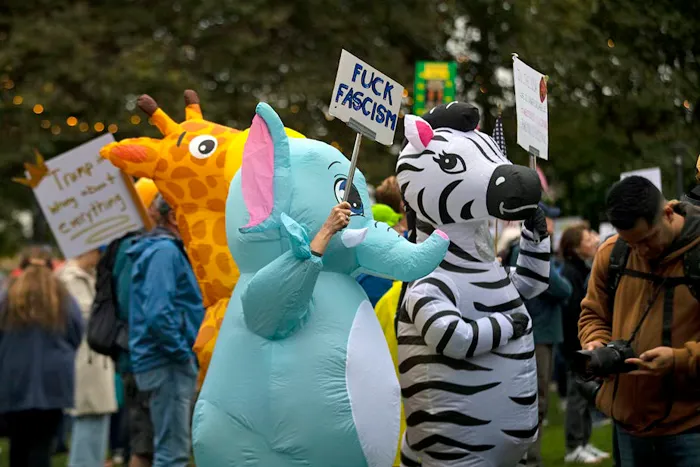 Springtime For RINOs