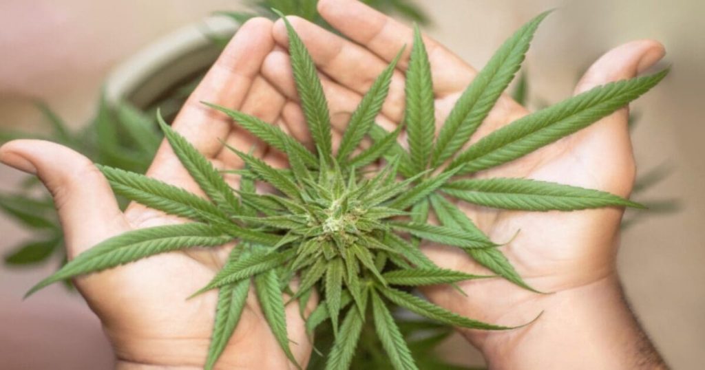 US Army ups max enlistment age, eases pot restrictions