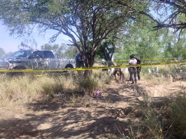 Search Collective in Mexico Finds More Clandestine Crematorium Sites near Texas Border