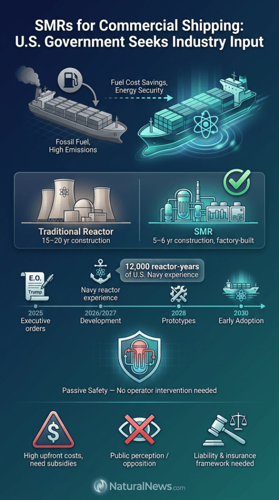 U.S. Government Seeks Industry Input on Small Modular Nuclear Reactors for Commercial Shipping