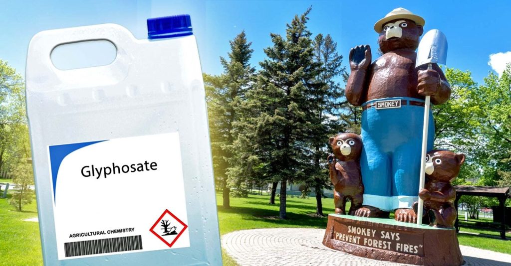 Forest Service Spraying Record Amounts Of Glyphosate On Burned-Out Public Lands