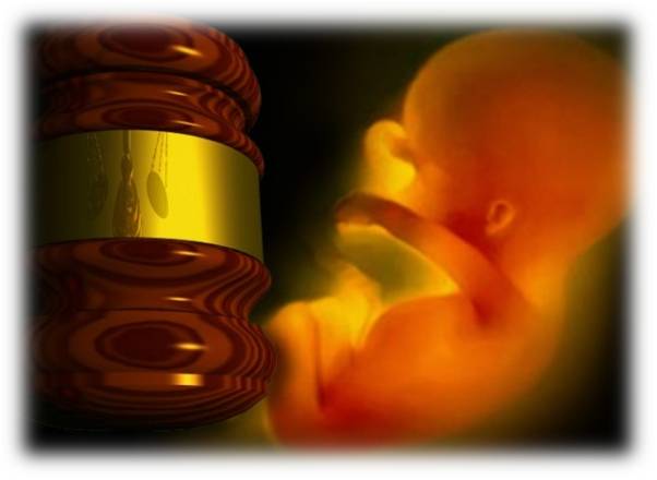 23 States Back Louisiana Effort to Stop Mail-Order Abortions
