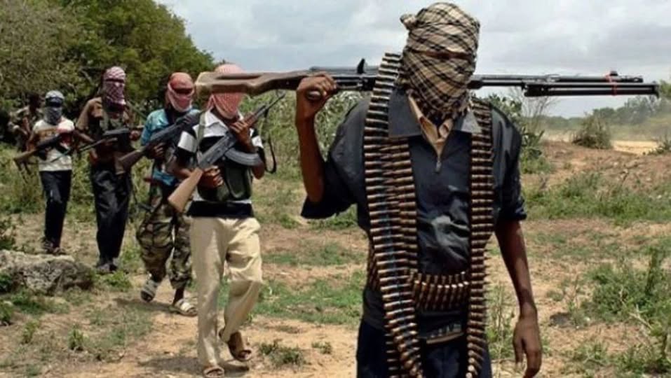 Armed individuals in masks walking through a rural landscape, showcasing a display of weaponry and ammunition.