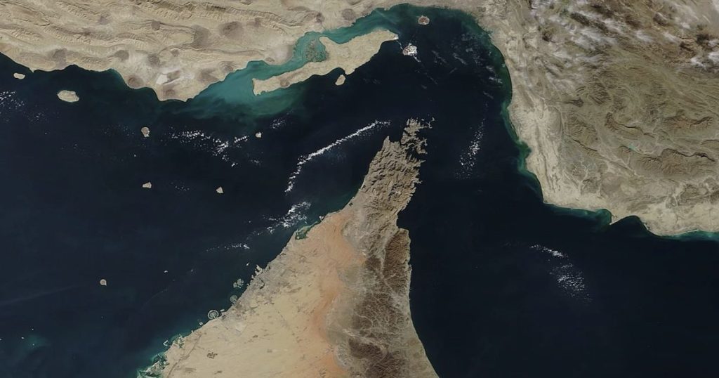 Where is PETA? Desperate Iranians Reportedly Considering Deploying ‘Kamikaze Dolphins’ to Target US Ships in Strait of Hormuz