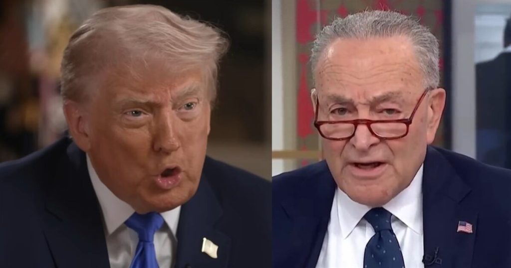 Trump pledges ‘election integrity army’ to counter Dems’ midterm cheating