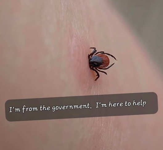 A Single Dose Of Doxycycline Won’t Stop Lyme Disease.