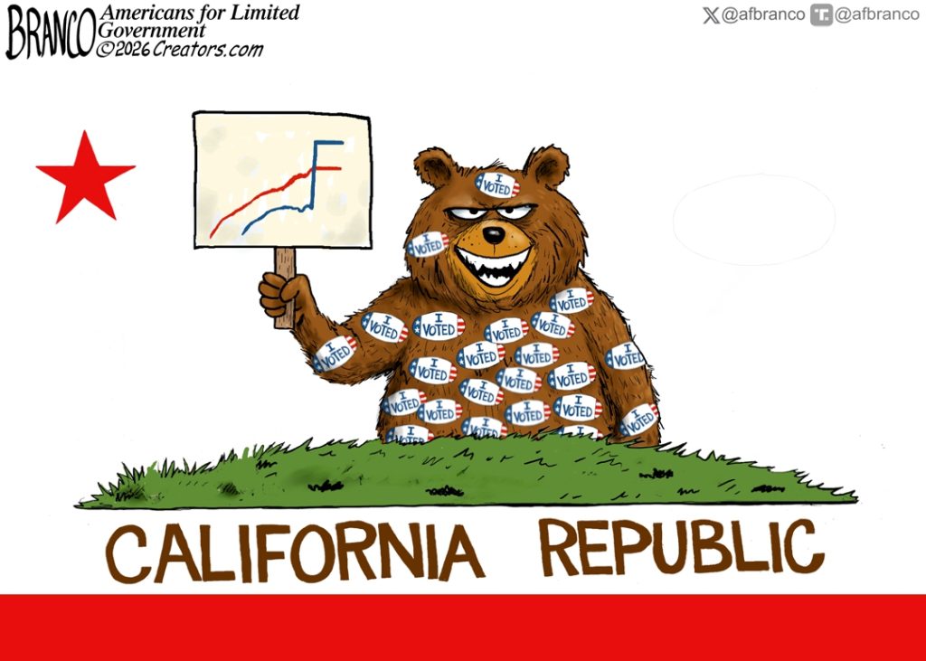 Cartoon of the Day: Califraudia
