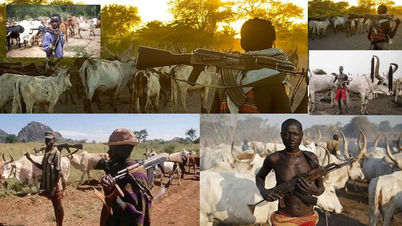 Young herders carrying rifles oversee a herd of cattle in a rural landscape during sunset, highlighting the intersection of livestock farming and security challenges.