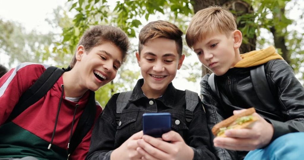 Dem ‘Project 2029’ could include UK-style social media ban