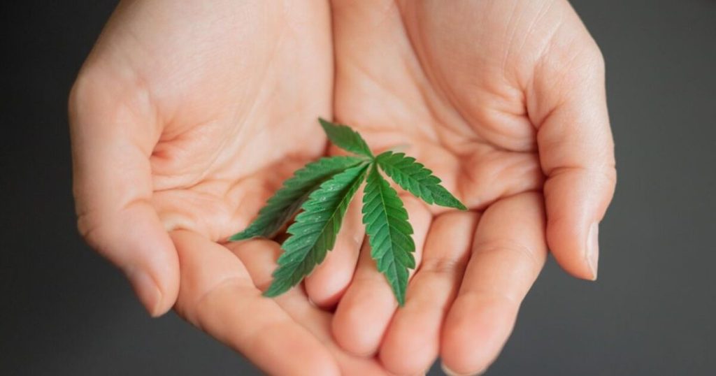 Albuquerque launches basic income program funded by weed tax for ‘marginalized’ groups