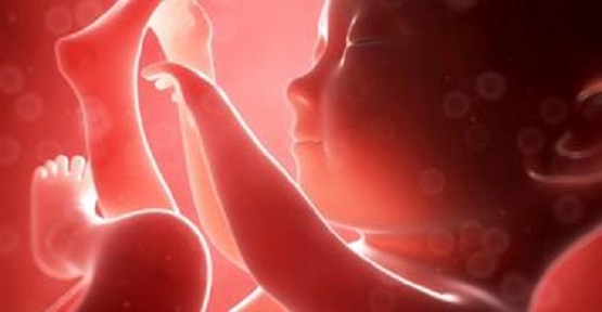 Ireland Dáil Votes to Remove 3-Day Wait Before Killing Babies in Abortions