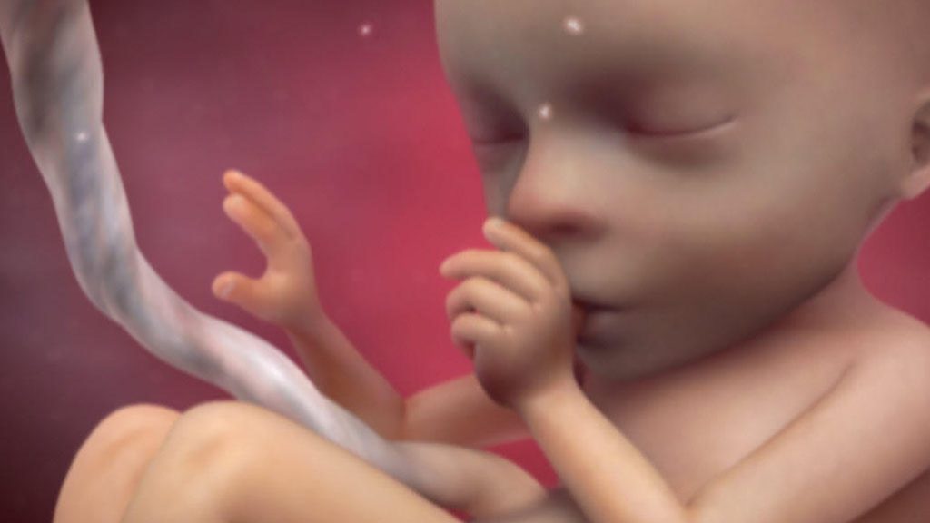 Hyde Amendment Has Saved 2.6 Million Babies From Abortion After 50 Years