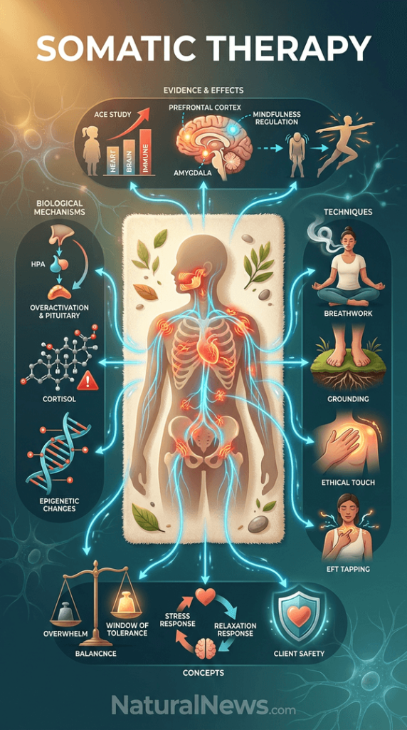 Somatic Therapy: A Body-Centered Approach to Trauma Treatment