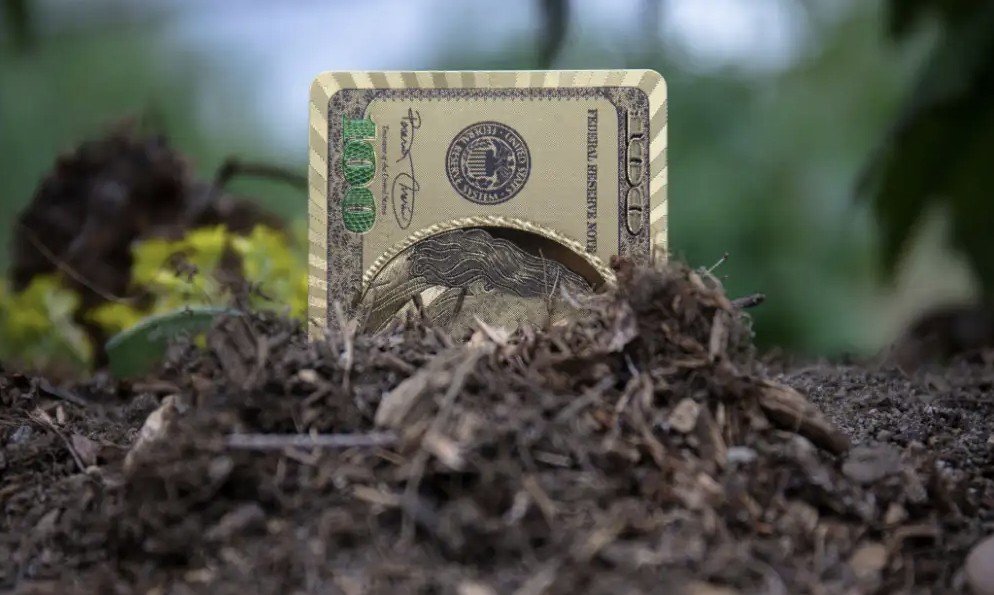 A hundred-dollar bill partially buried in soil, symbolizing financial growth or hidden wealth in a natural setting.