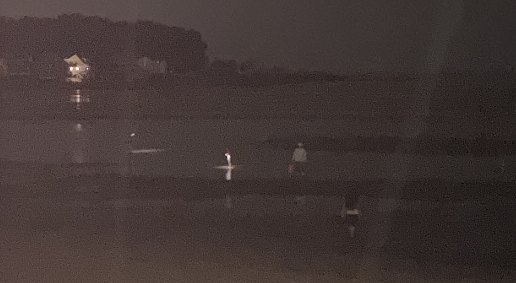 BREAKING EXCLUSIVE: Illegals Raping Natural Resources In Westport, Cops Don’t Care, Town Doesn’t Care, State Doesn’t Care