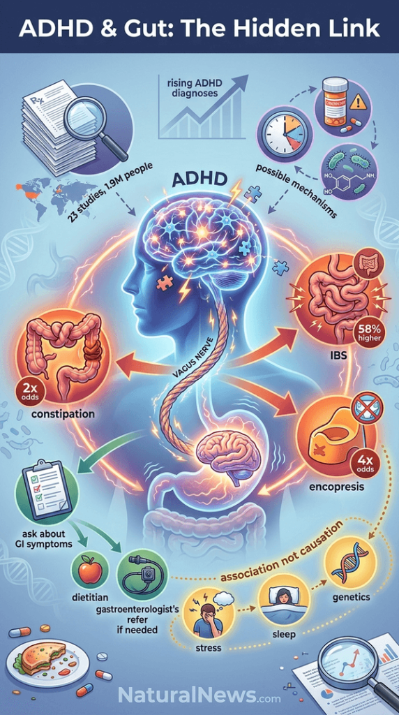 Study Finds Association Between ADHD and Higher Rates of Gastrointestinal Symptoms