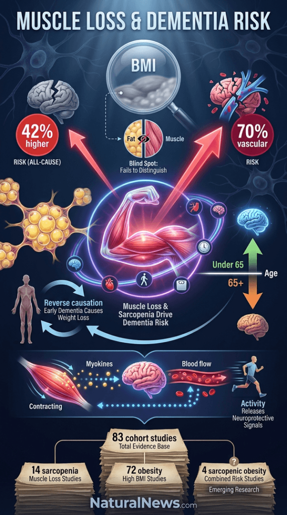 Analysis Links Muscle Loss to 42% Higher Dementia Risk; Obesity Association Varies by Age