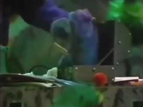 What kind of animal is Gonzo?