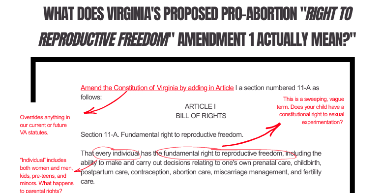 Virginia Abortions Up to Birth Amendment Would Push Trans Agenda on Kids