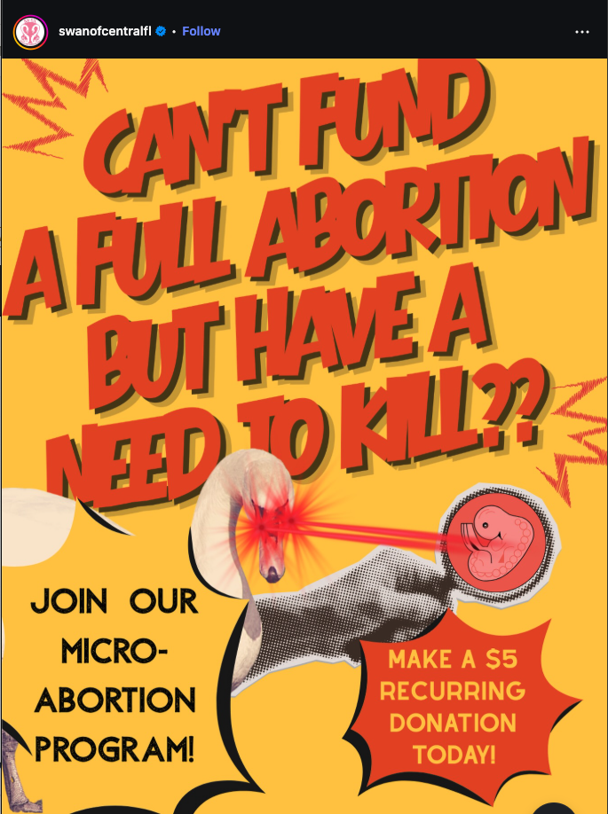 Pro-Abortion Group Celebrates Killing Babies: “I Don’t Care if Abortion is Murder”