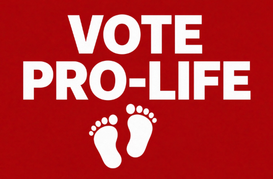You Must Vote if You Want to Save Babies From Abortions
